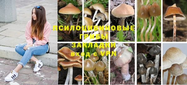 мдма Бронницы