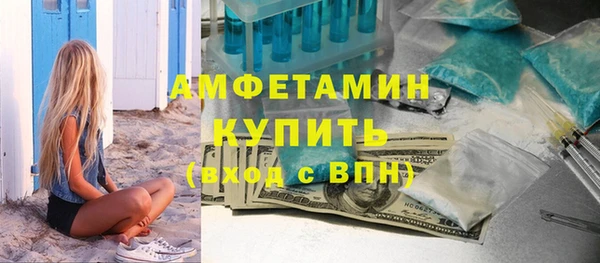 сатива Волоколамск