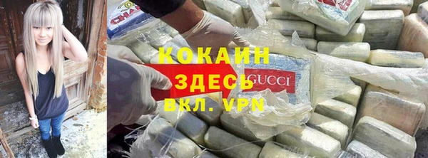 сатива Волоколамск