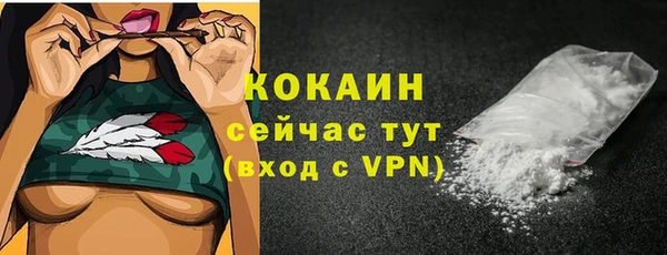 сатива Волоколамск