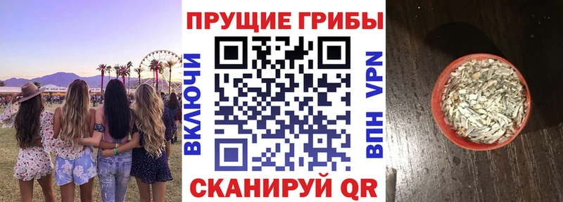 наркота  Дмитров  Псилоцибиновые грибы ЛСД 